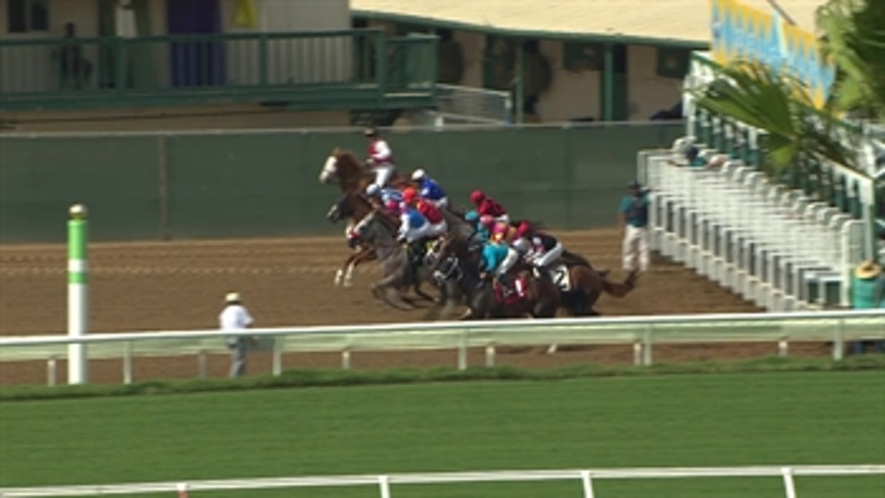 Frank Scatoni teaches horse betting for newcomers | #InsideSanDiegoSports