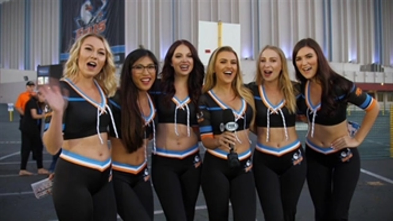 Gulls hockey is back, and San Diego fans are pumped