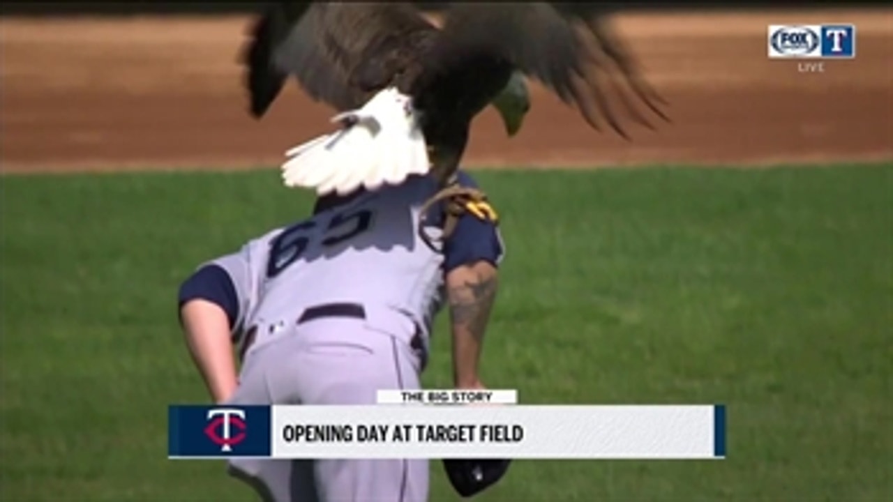 Mariners pitcher James Paxton 'survives' bald eagle attack