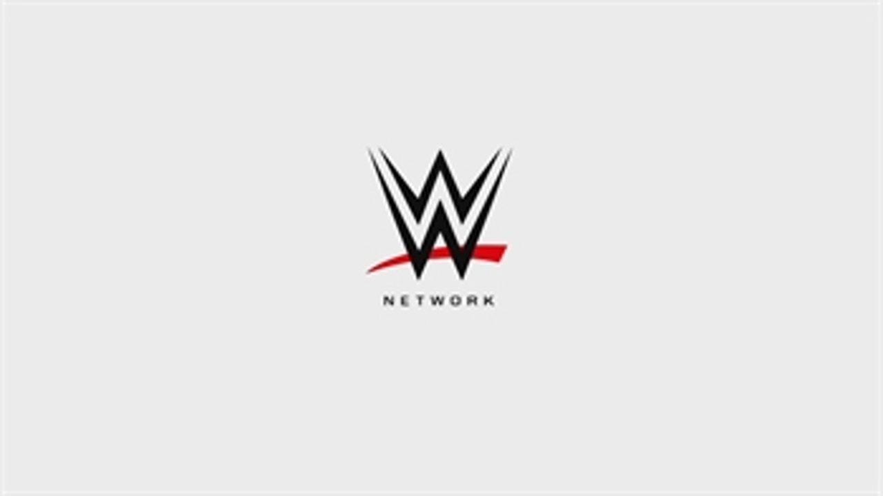WWE Network on TV