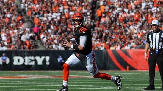 Ravens vs. Bengals 2024 Prediction, Odds, Picks - Nov 7