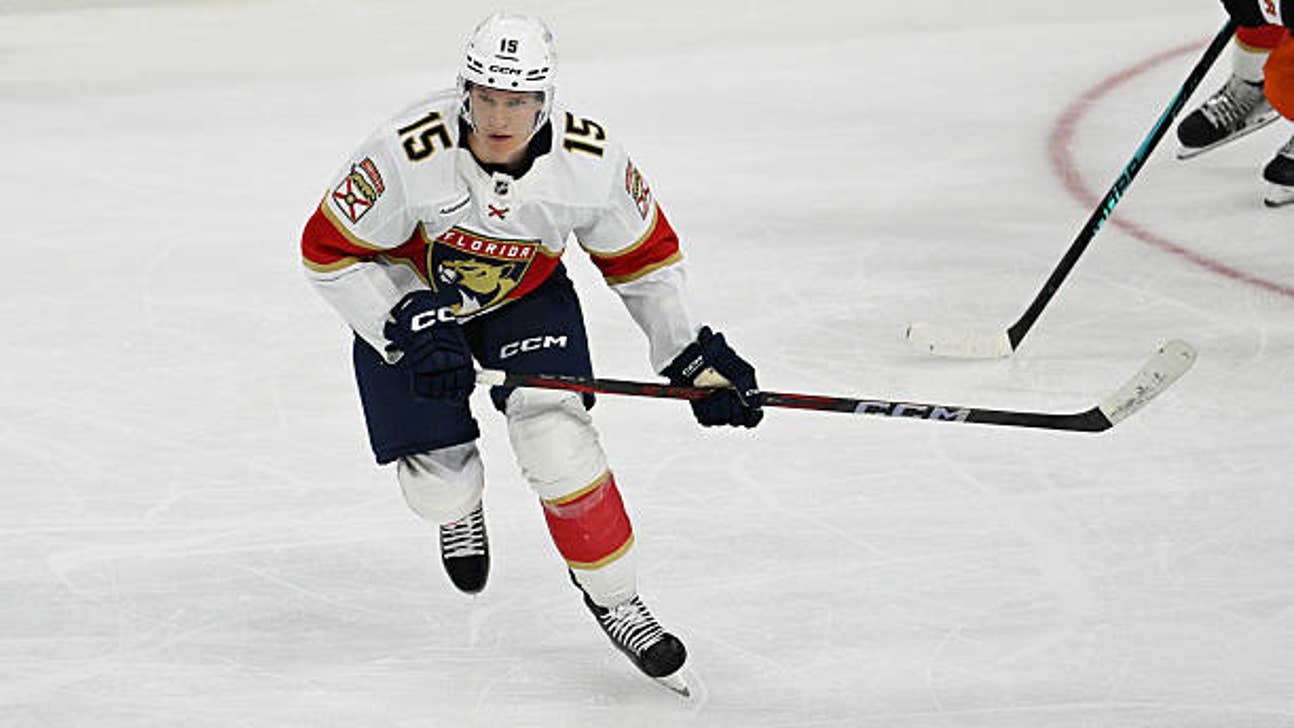 Panthers vs. Red Wings prediction, odds, picks - Oct. 15