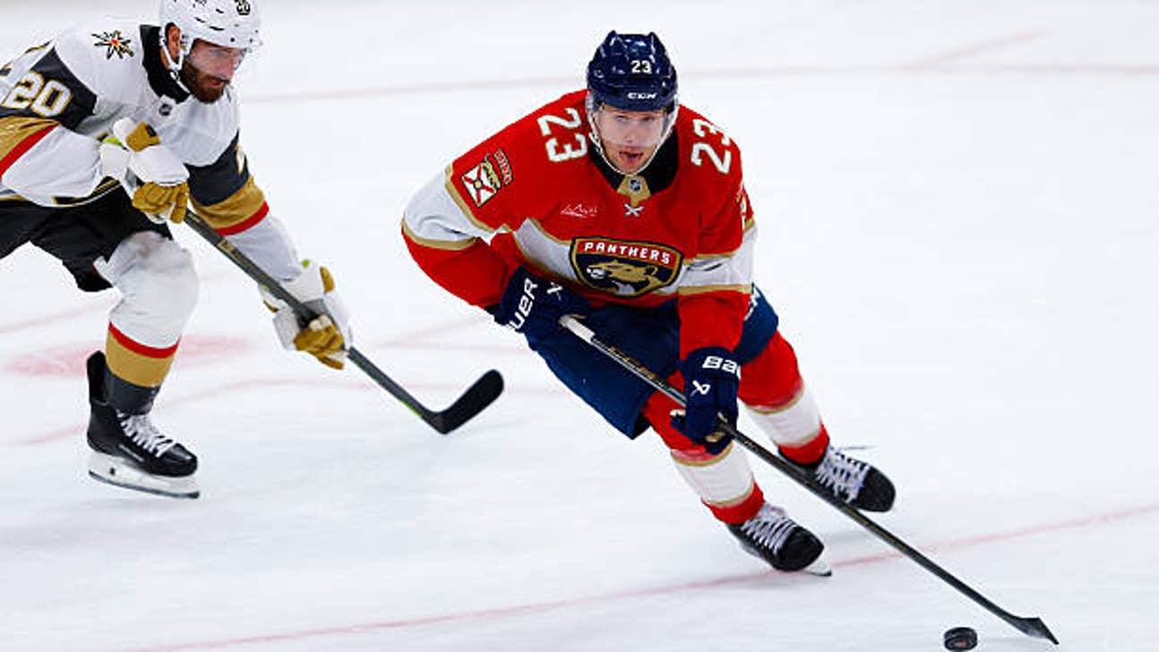 Panthers vs. Ducks prediction, odds, picks - Oct. 28