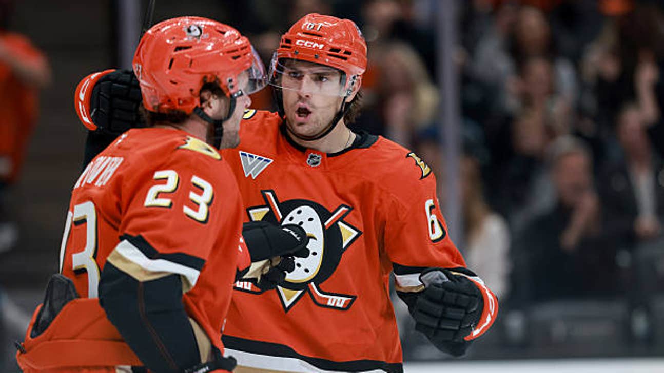 Panthers vs. Ducks Prediction, Odds, Picks - Nov. 4