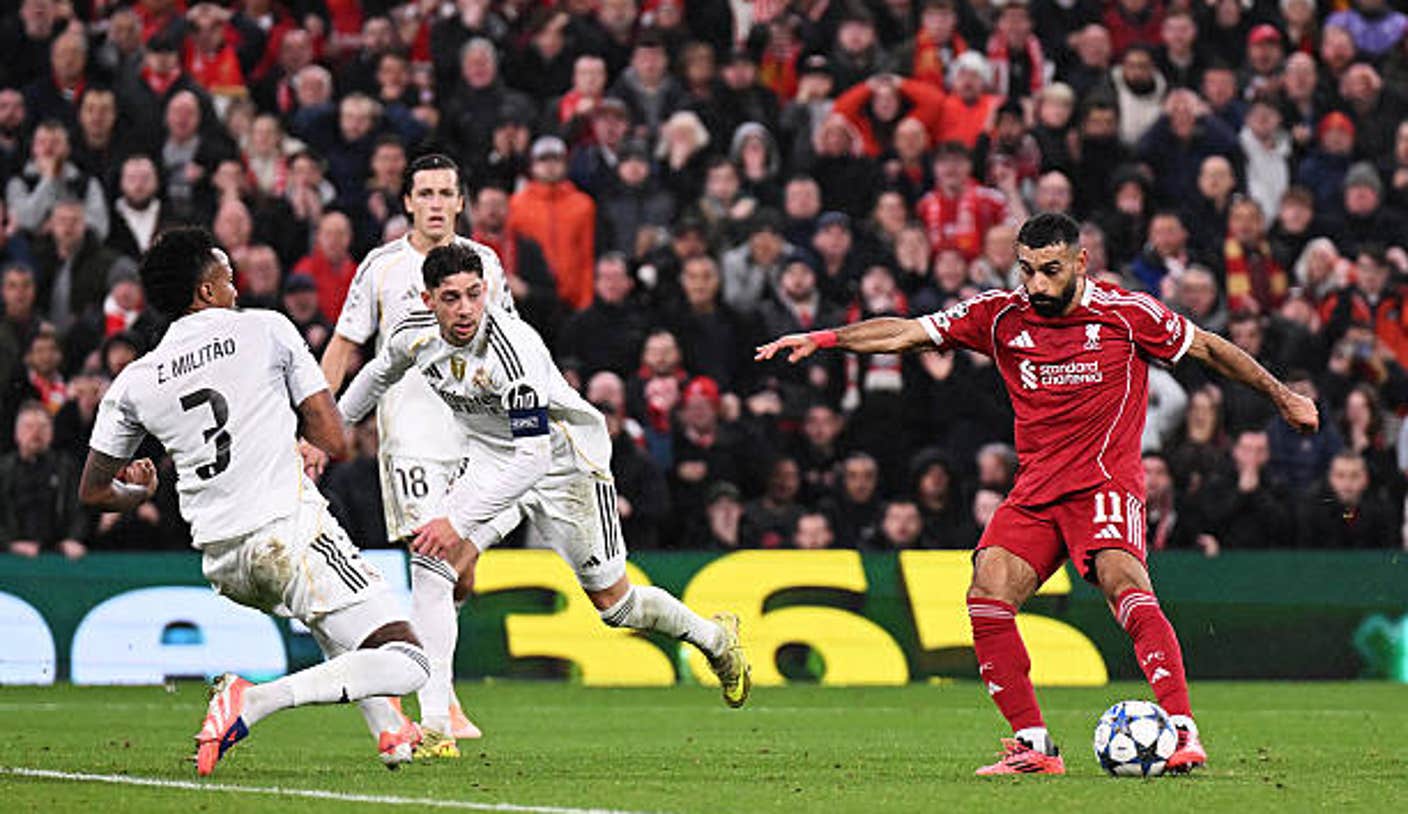 살라 액션 컷 이미지