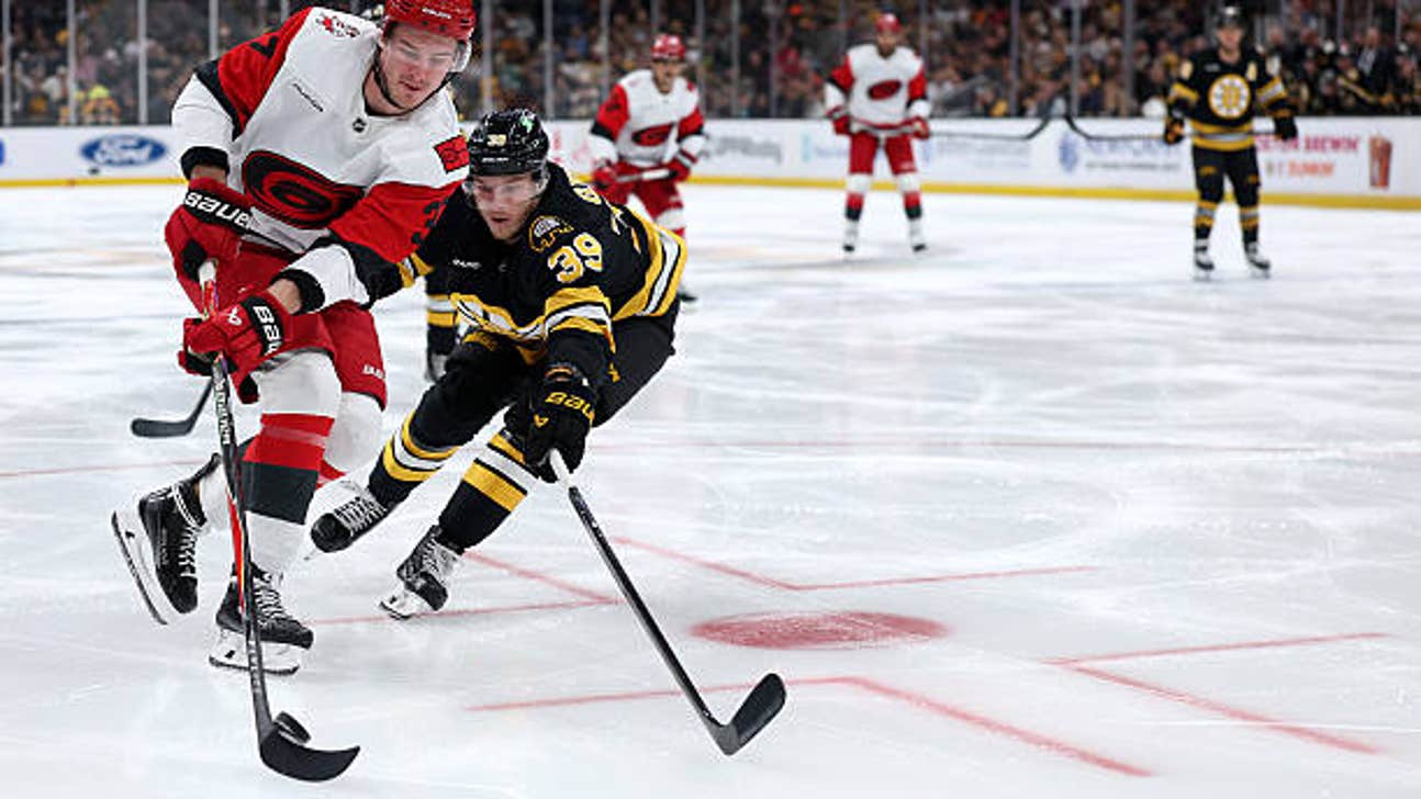 Hurricanes vs. Wild Prediction, Odds, Picks - Nov. 19