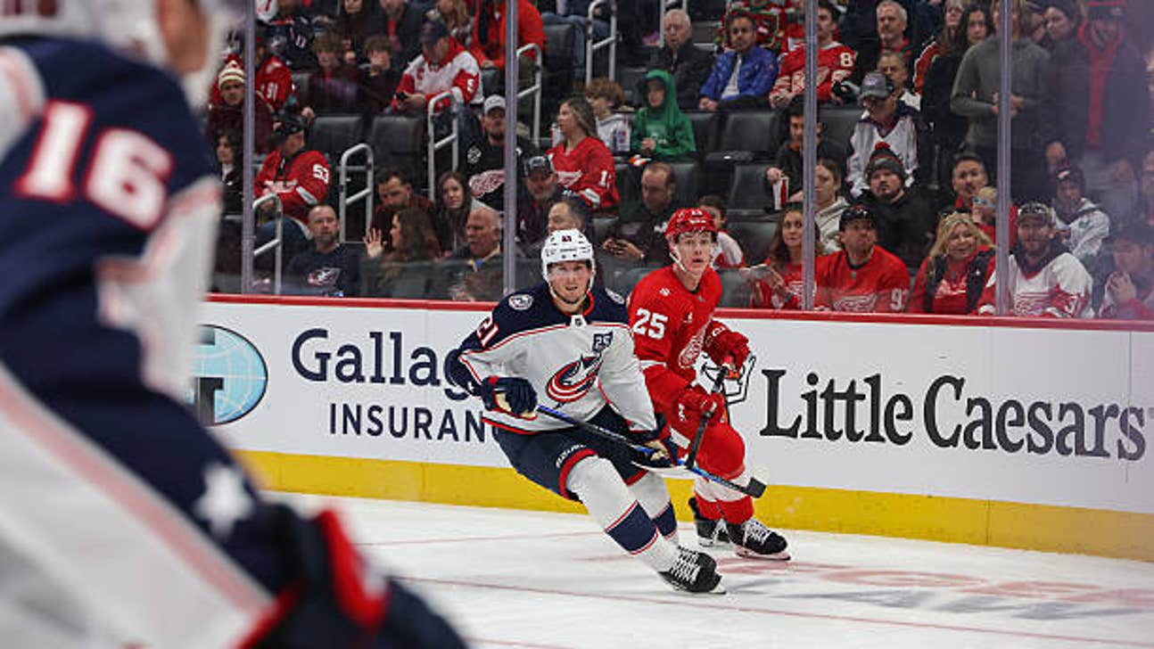 Devils vs. Red Wings Prediction, Odds, Picks - Nov. 24