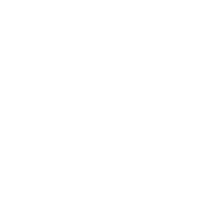 SUMMER OF '94