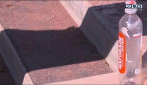 Dodgers find a snake in their dugout in between innings of NLCS Game 2 vs. Mets | MLB on FOX