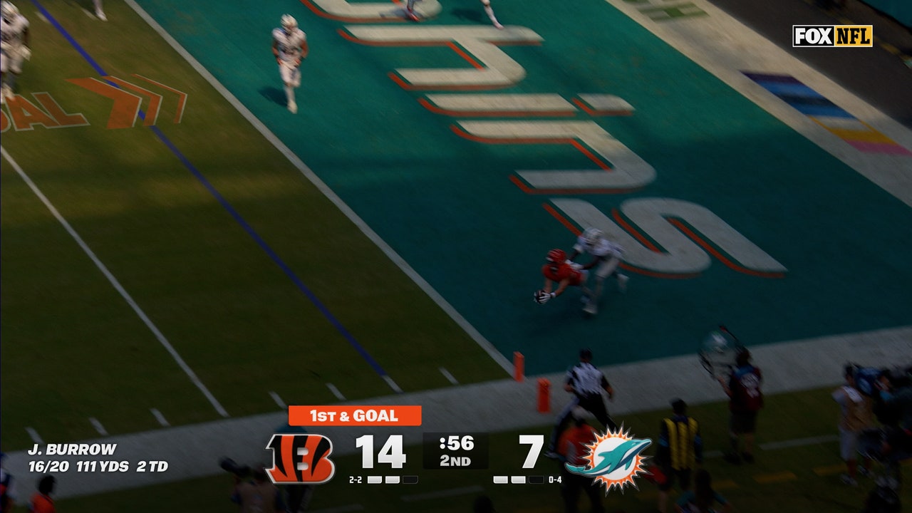 Joe Burrow finds Tanner Hudson for a touchdown, extending Bengals' lead over Dolphins | NFL Highlights