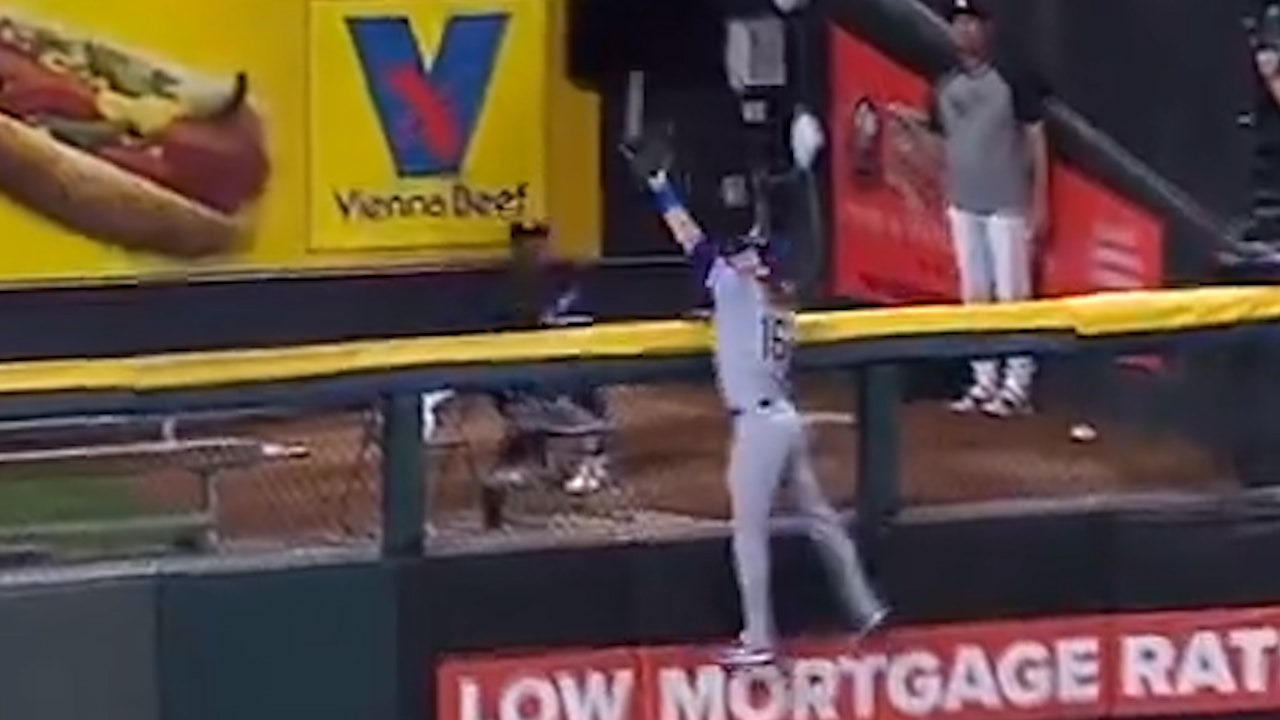 Travis Jankowski ROBS a potential walk-off home run to seal Rangers' 4-3 lead over White Sox