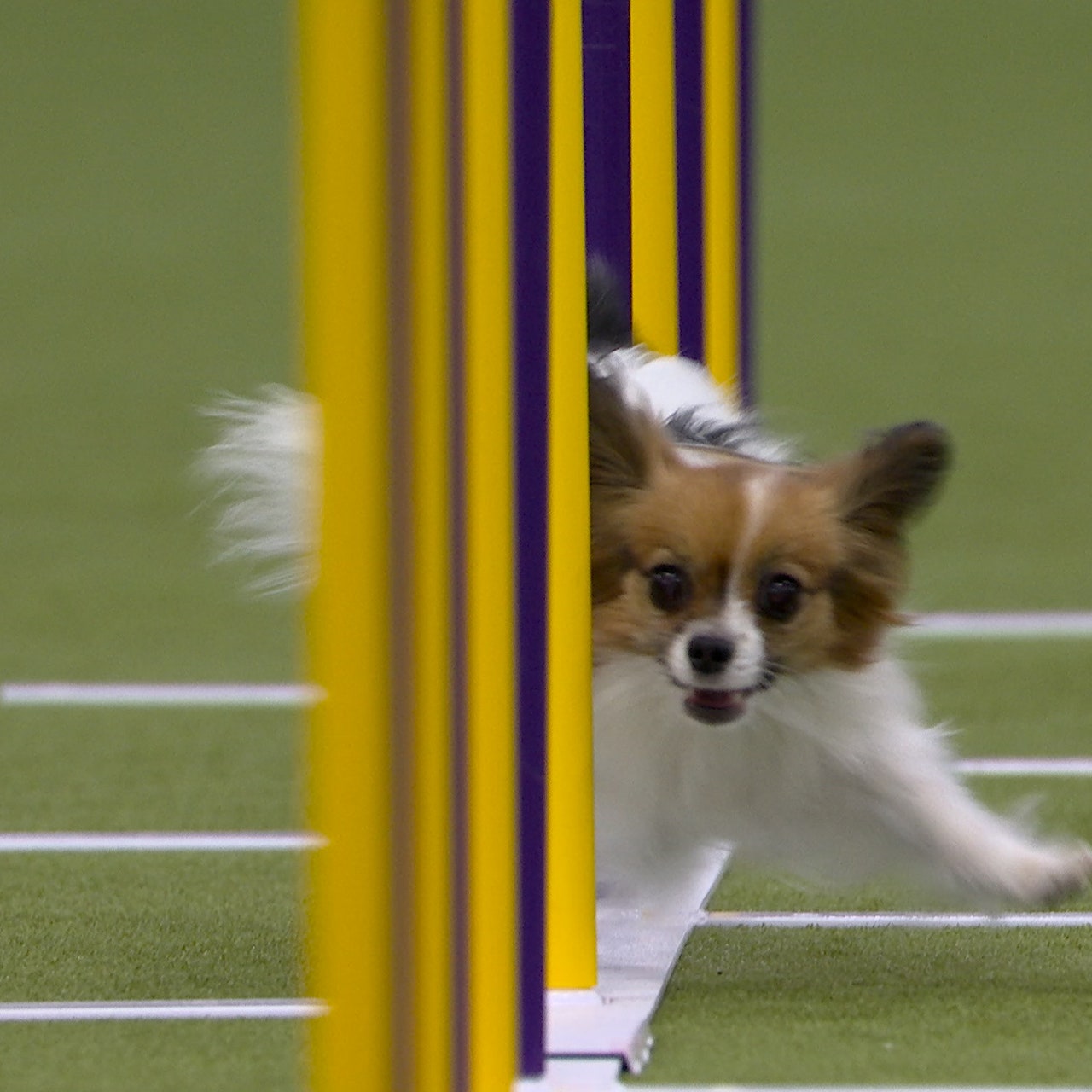 wtetvb79glk73erq.jpg?ve=1&tl=1