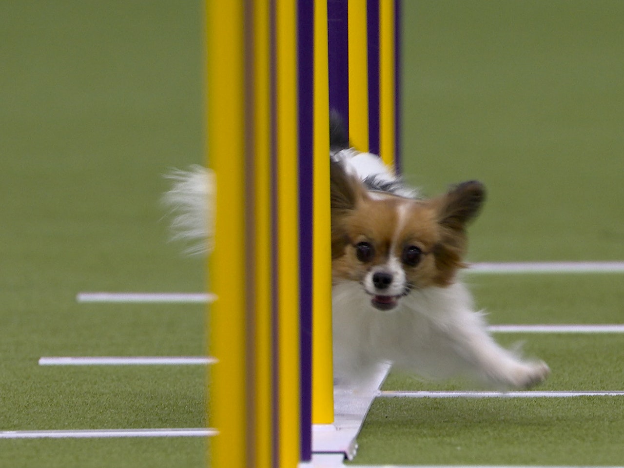 wtetvb79glk73erq.jpg?ve=1&tl=1