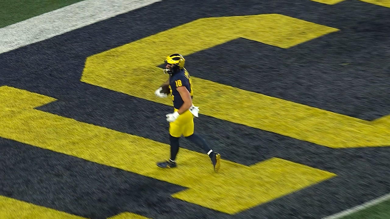 Michigan TE Colston Loveland's highlights from 2024 season