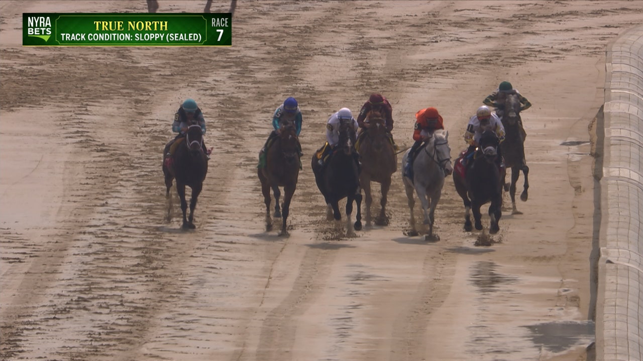 Book'em Danno wins Race 7