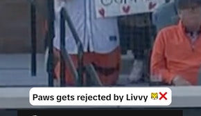 Tigers' mascot Paws is rejected by Livvy Dunne in front of Paul Skenes