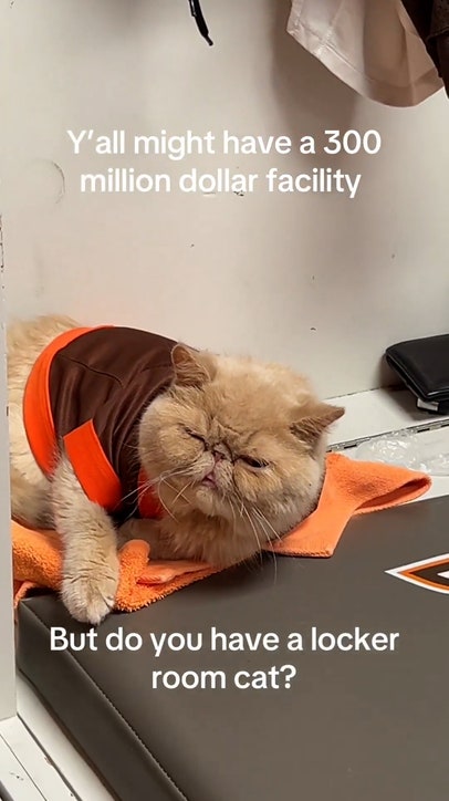 Meet Bowling Green’s Most Unlikely Teammate: A Locker Room Cat