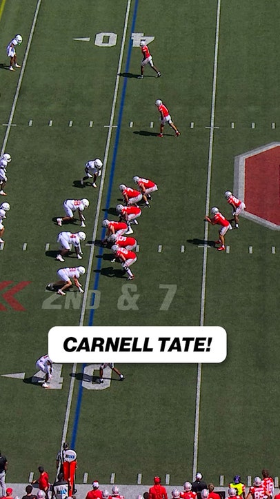 Carnell Tate with a HUGE TD for Ohio State 💪