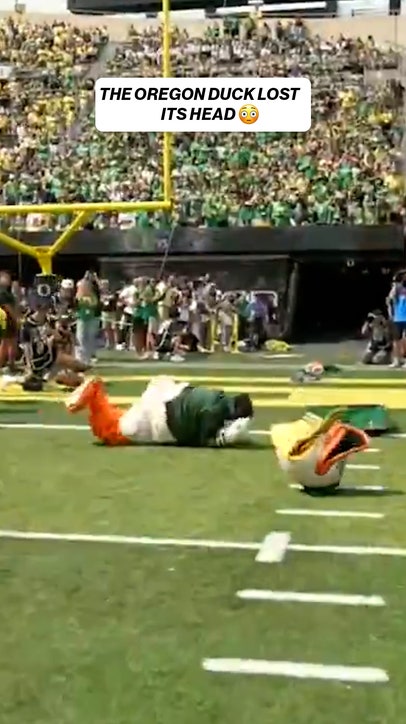 The Oregon Duck Lost Its Head 🫣