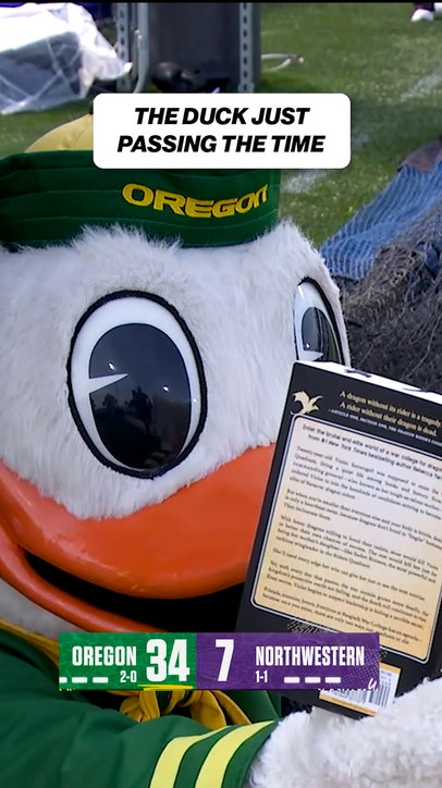 Oregon Duck is CHILLIN 😅