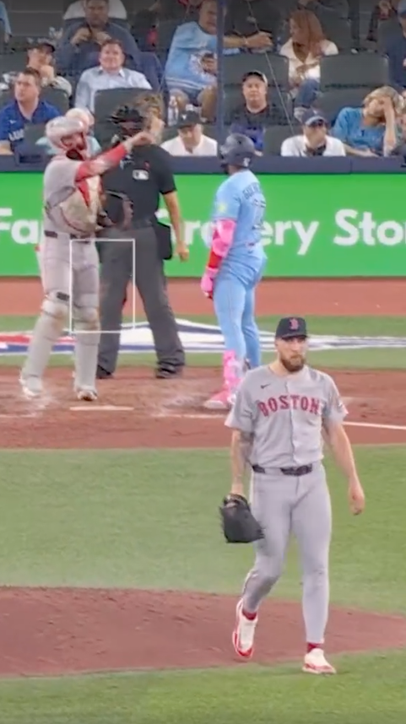 Vladimir Guerrero Jr. and BlueJays hitting coach David Popkins were both ejected after questionable calls 😬