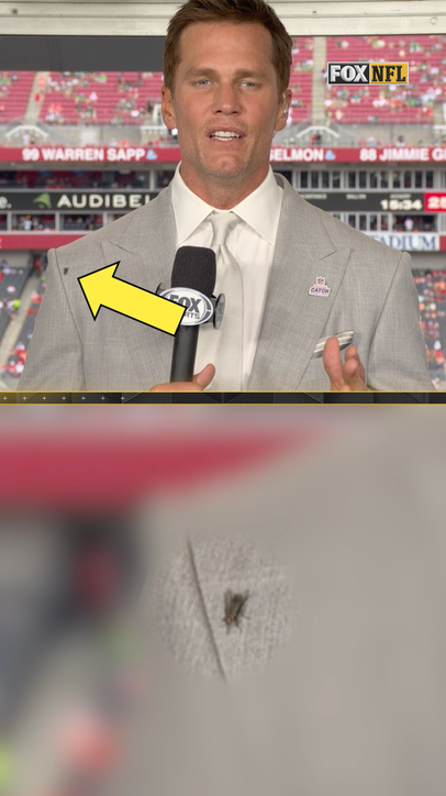 Fly made its way on Brady's shoulder! 😂