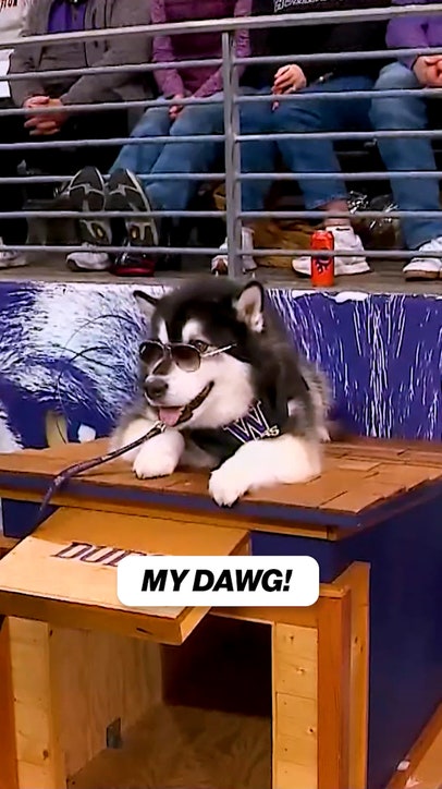 This dog is having a GREAT time 😎