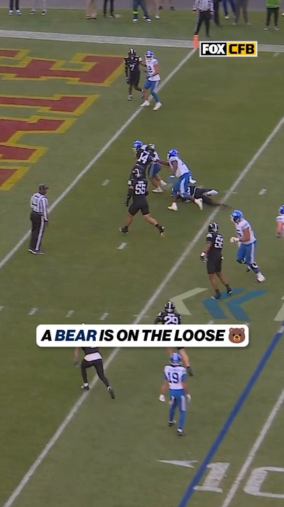 Bear finds the ENDZONE 🐻