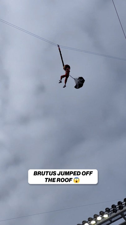 OH MY BRUTUS 😳 🤯