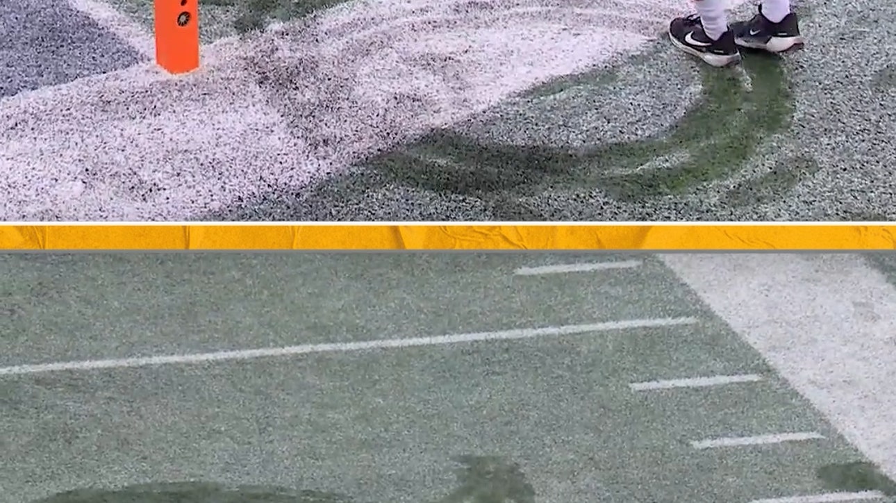 NO! Not to Brutus' art 🫠