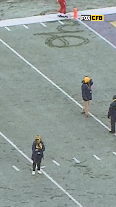 Brutus playing GAMES at the Big House 🏠