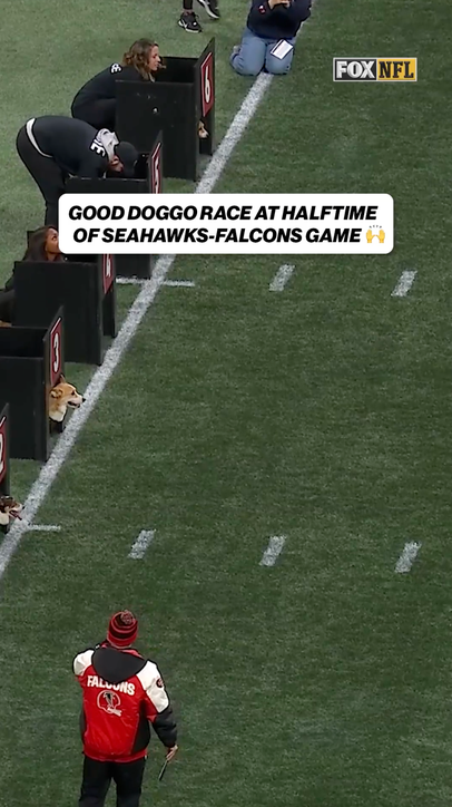 Some good doggos with a close race at the finish line!