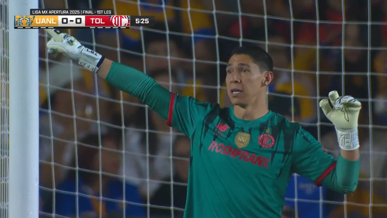 Catch Up with Highlights