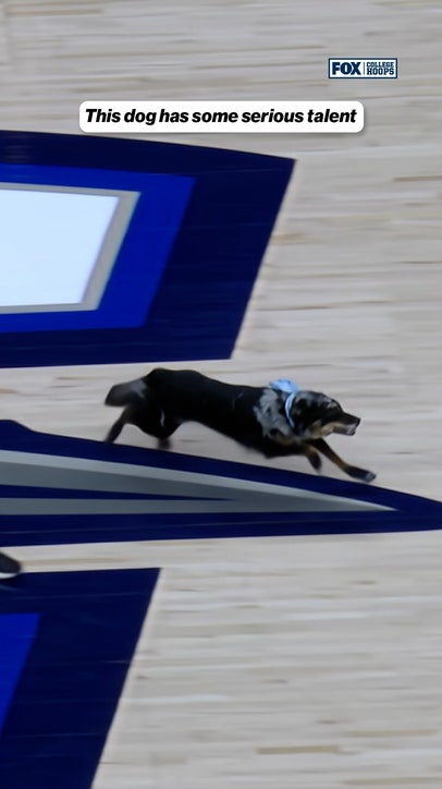 Get this dog a roster spot 🏀