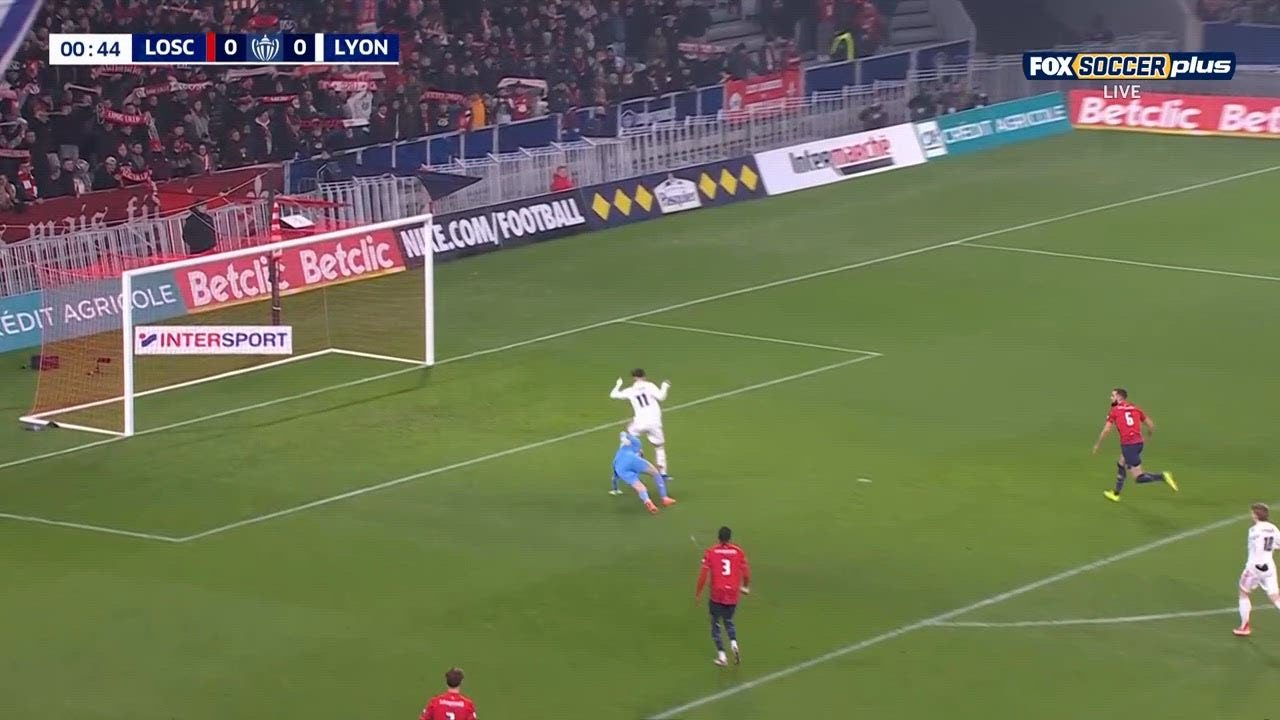 Catch Up with Highlights