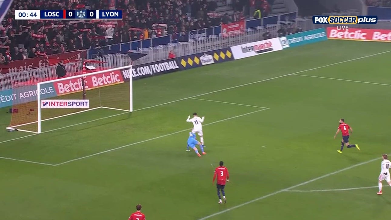 Catch Up with Highlights