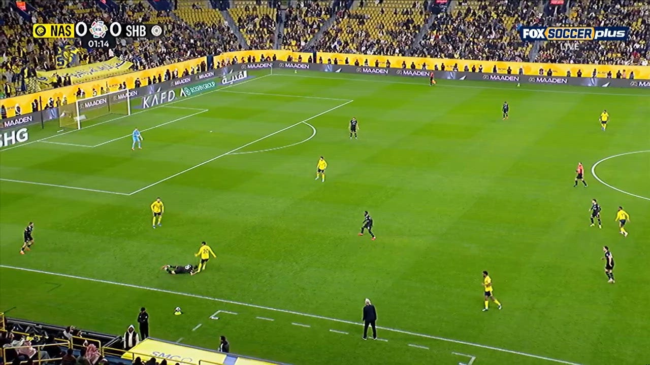 Catch Up with Highlights