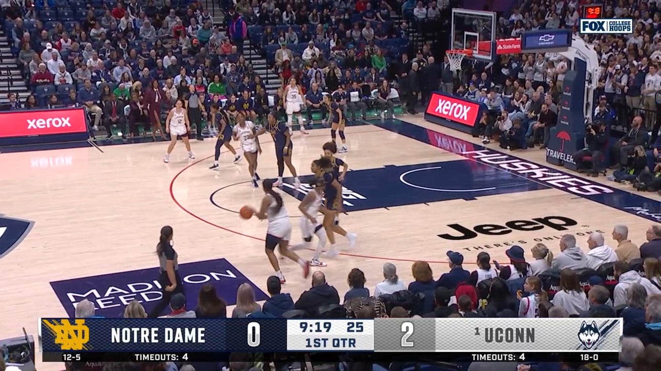 Catch Up with Highlights