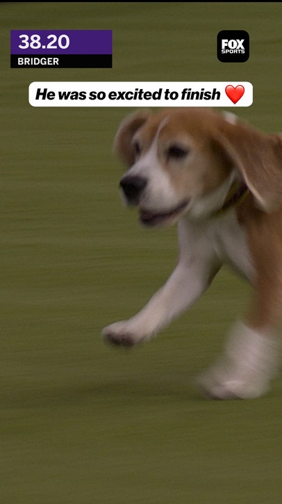 He was such a happy boy after completing the course ❤️