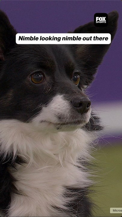 Blink and you’ll miss this run ❤️