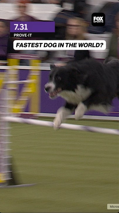 Prove-it PROVED IT 😱