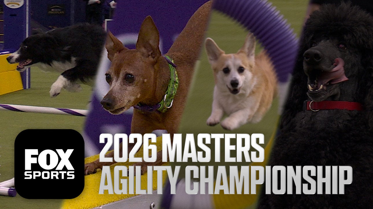 2026 Masters Agility Championship 🐕 FULL Competition 🍿 Westminster Dog Show
