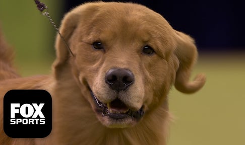 tjsbgcwuz4tg64dd.jpg?ve=1&tl=1