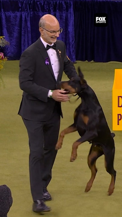 Penny Wins Best In Show 🔥🏆