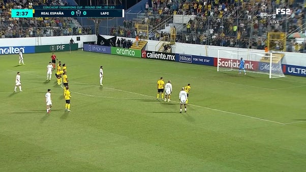 Catch Up with Highlights