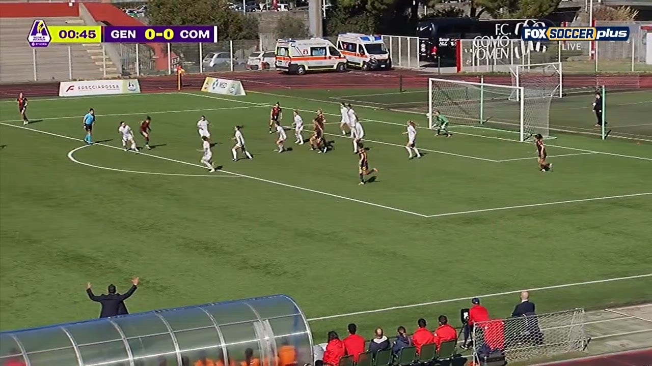 Catch Up with Highlights