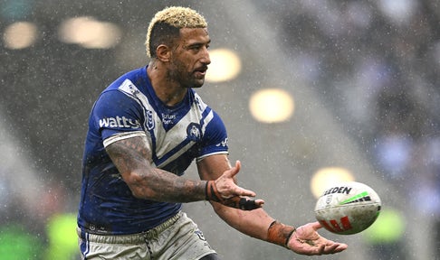 Lark the Papillon wins the 8