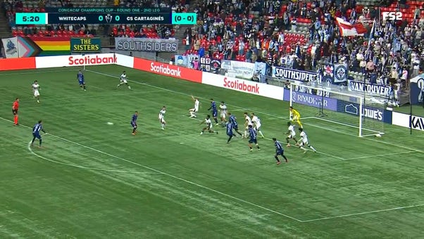 Catch Up with Highlights