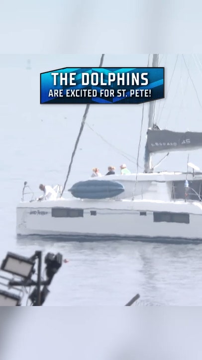 Even the Dolphins are excited for INDYCAR and NASCAR in St. Pete! 🐬