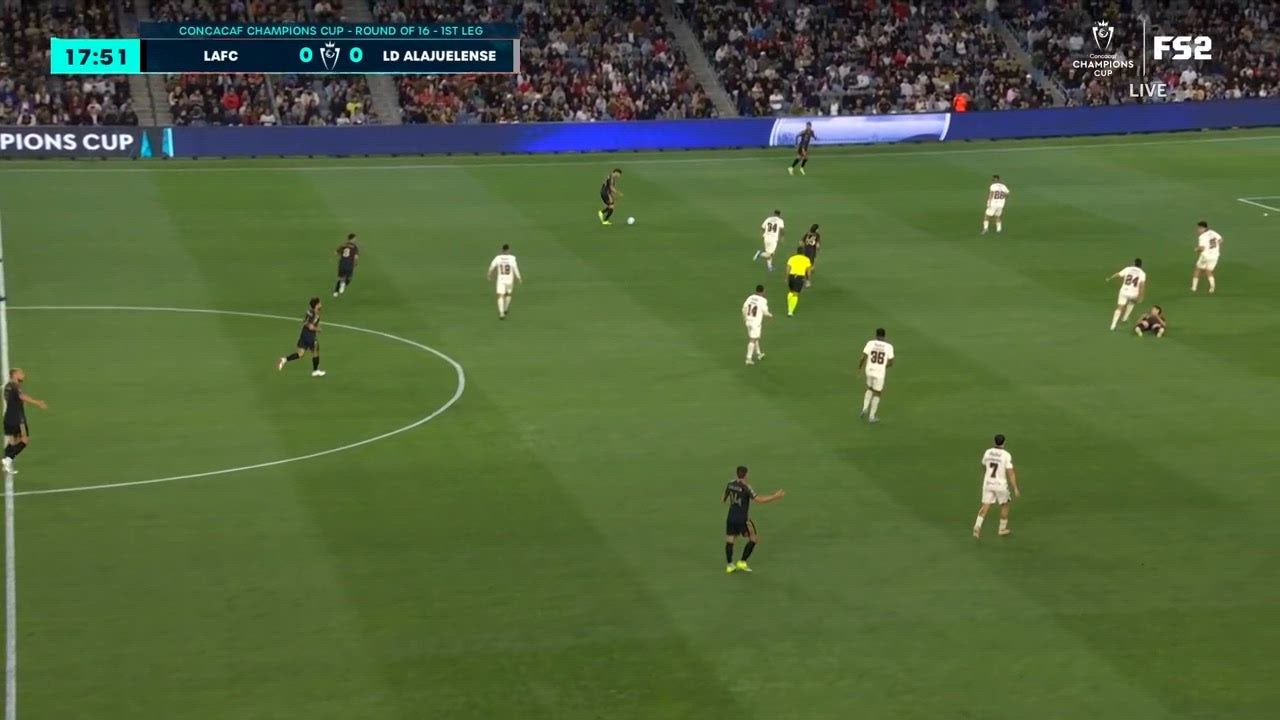 Catch Up with Highlights